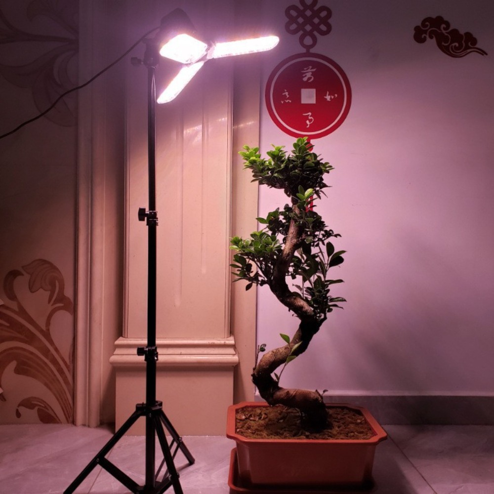 Light Bulb Stand 2M, E27 AC So - огляд і ціна Lighting In Photography Studio