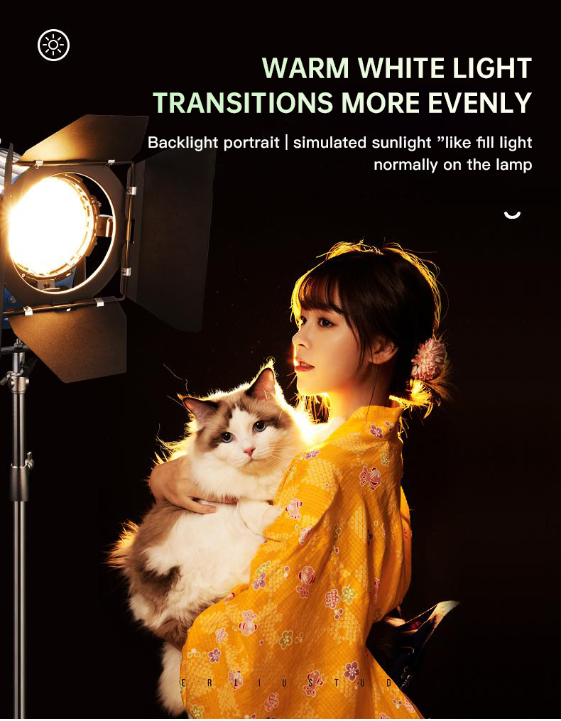 Beiyang 2000W Spotlight Hair L - огляд і ціна Photography Lighting For Portraits