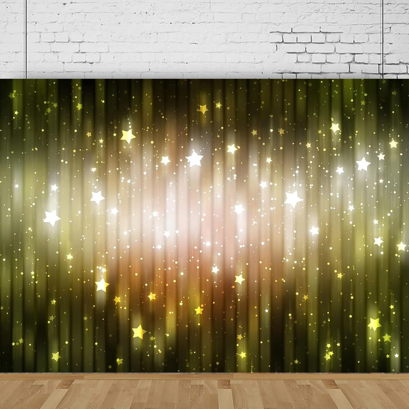 Shiny Glitter Photography Back - огляд і ціна Photography Lighting For Portraits